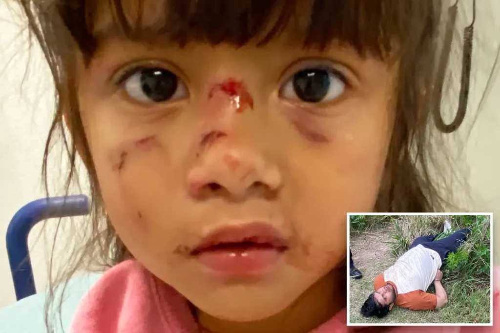 Indian man who violently attacked mother and daughter is an illegal immigrant, DHS reports