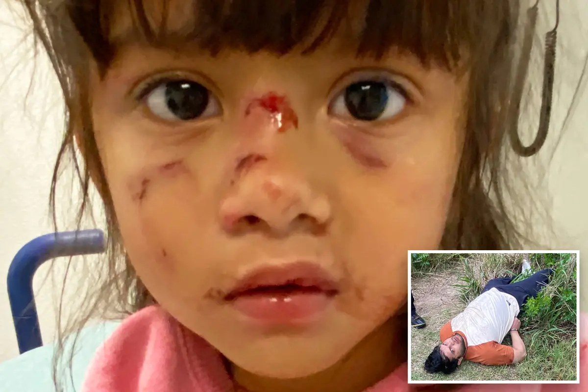 Indian man who violently attacked mother and daughter is an illegal immigrant, DHS reports