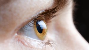 Is there a risk of 'eye stroke' and vision loss with Wegovy? Here's what the data reveals.