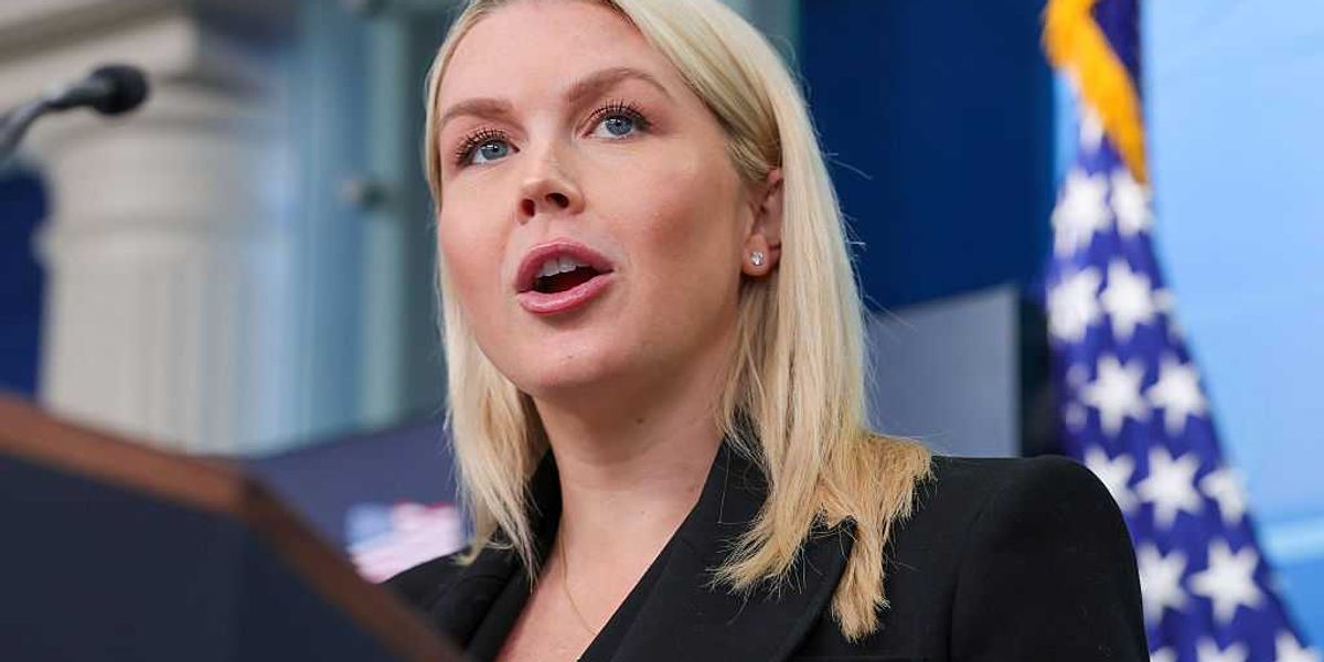 Karoline Leavitt calls out Democrats linked to the WHCD assassination plot.