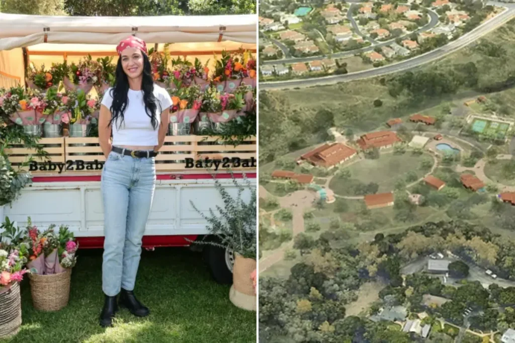 Katy Perry aims to create a youth camp in California, but neighbors might have different ideas.