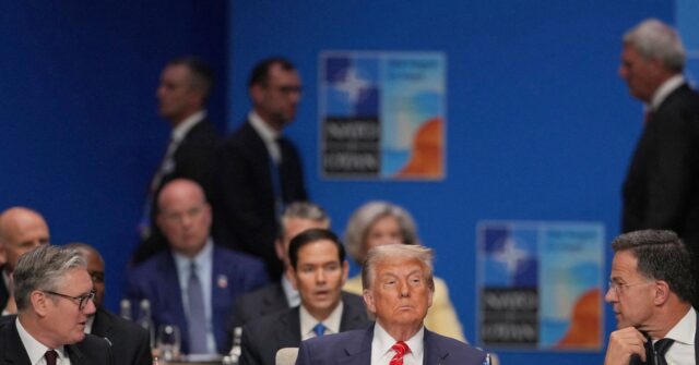 Leading Republicans Challenge the Purpose of 'Ineffective' and 'Weaker' NATO Partners