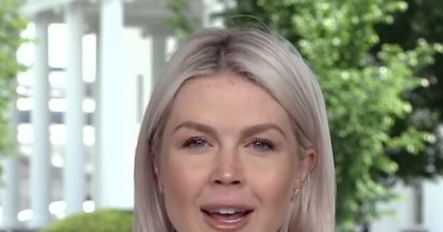 Leavitt: Southern Poverty Law Center is a 'Criminal Organization, Managed by Con Artists'