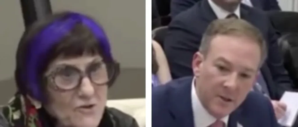 Lee Zeldin Upsets Purple-Haired Democrat While He Teaches Her About Fundamental Supreme Court Cases