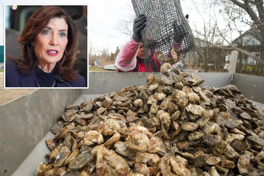 Long Island county could be labeled a 'disaster area' due to oyster shortage: 'Supply and demand'