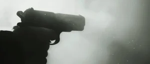 Long-Standing Fear Among Gun Owners May Disappear in Tennessee