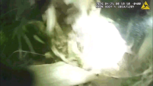 Man abandons child in woods while trying to escape police in Daytona Beach