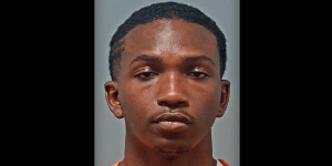 Man with a knife makes threatening remarks in a disturbing driveway encounter; suspect taken into custody