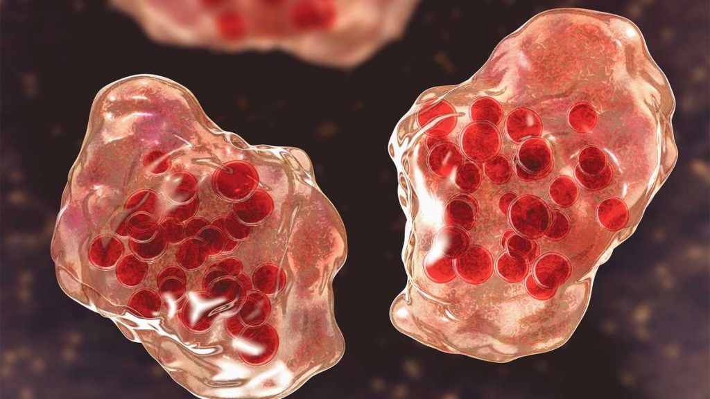 Measles case reported in Maryland resident who traveled recently