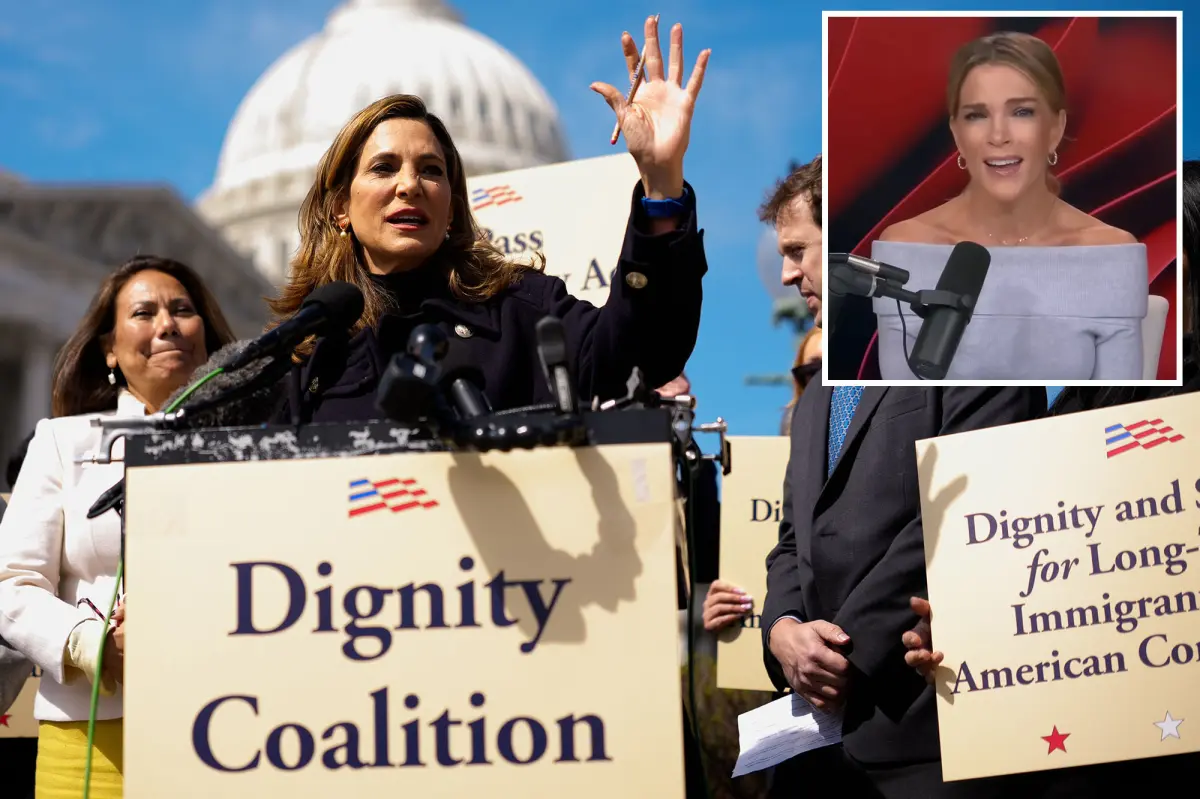 Megyn Kelly criticizes GOP representatives who support 'amnesty' for undocumented immigrants: 'Betrayal'