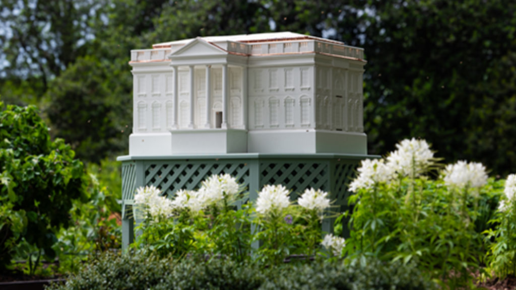 Melania Trump adds a new beehive to the White House program on the South Lawn.