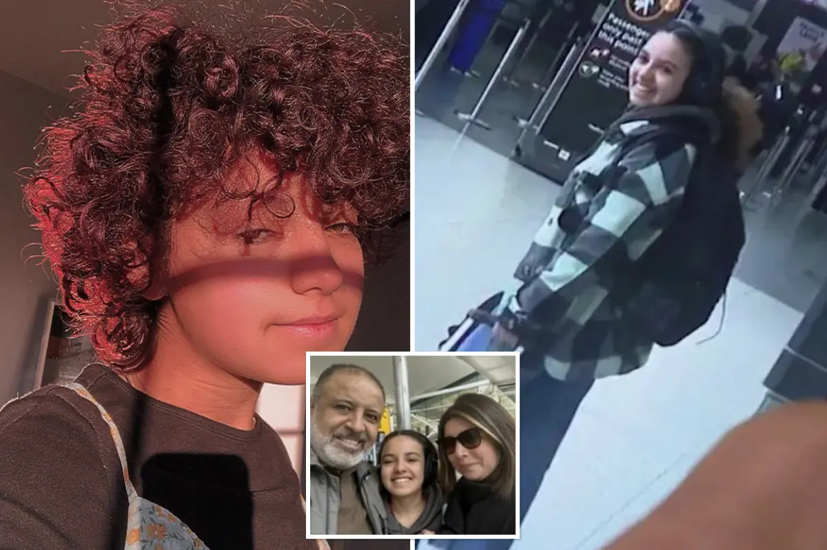 Missing UK woman who disappeared during solo trip to California after meeting a man has been located safely.