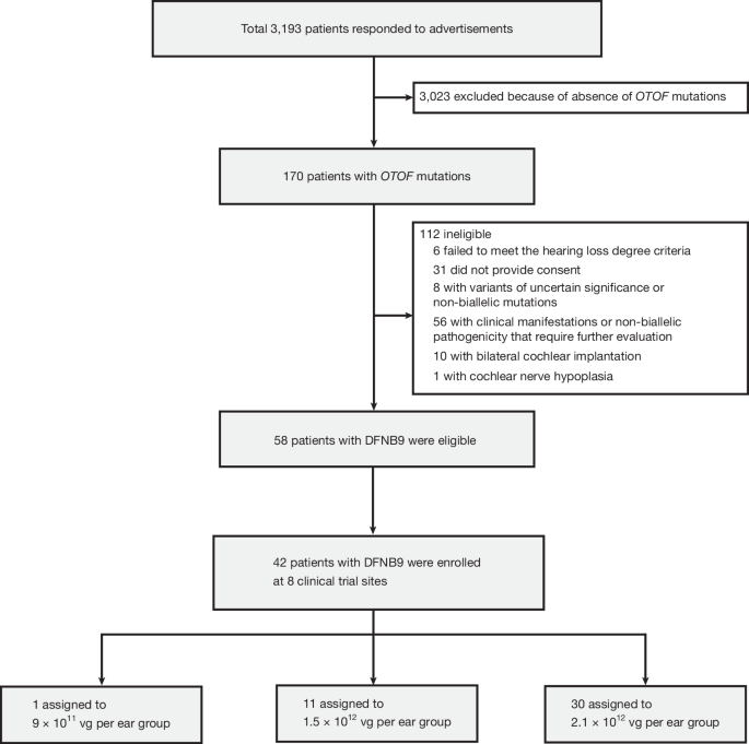 Multi-center gene treatment for OTOF-related hearing loss observed for 2.5 years
