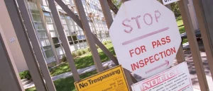 My Favorite New Conspiracy Theory Is Becoming Popular