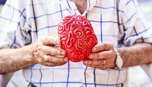 Nasal spray reverses the effects of aging on the brain