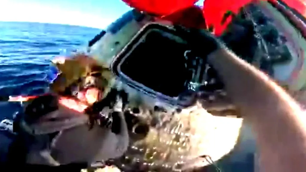 Navy shares video of hatch opening to greet Artemis II crew after splashdown