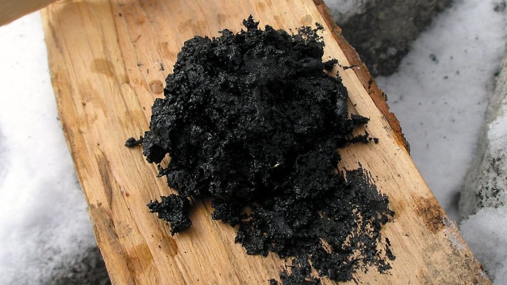 Neanderthals Utilized Ancient Substance as Antibacterial Treatment, Research Indicates