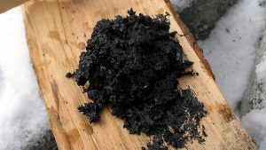 Neanderthals Utilized Ancient Substance as Antibacterial Treatment, Research Indicates