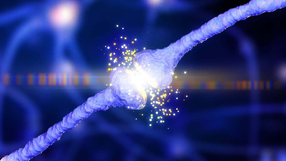 New "Unifying Theory" Could Shed Light on How Alzheimer's Develops in the Brain