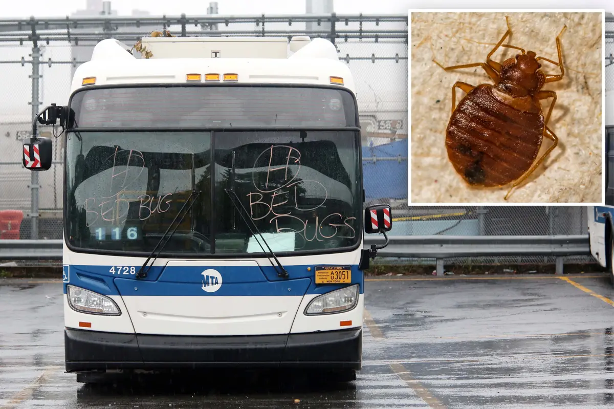 New York bill would require MTA to inform passengers about bed bug outbreaks.