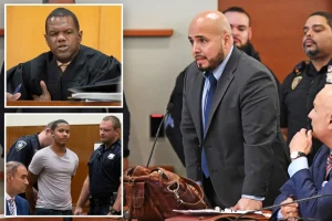New York judge who sentenced 'cooler cop' faced backlash for leniency towards teen who killed homeless man