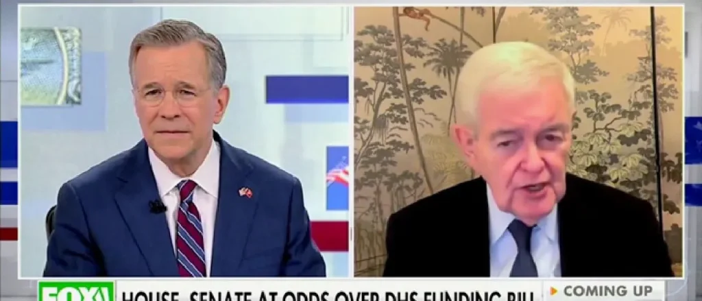 Newt Gingrich Questions Why Senate Republicans Included ‘Totally Inappropriate’ Section in DHS Bill