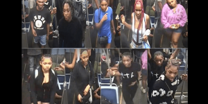 Nine individuals charged with attacking and assaulting a train passenger in Chicago