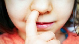 Nose-Picking Might Be Unexpectedly Connected to Alzheimer's, Study in Mice Indicates