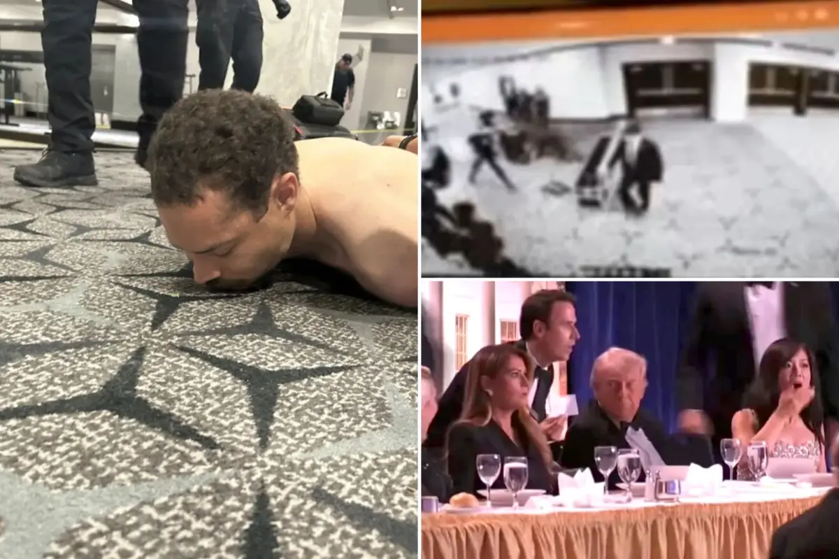 Observer recounts the moment Cole Allen was subdued following the shooting at the White House Correspondents' Dinner.