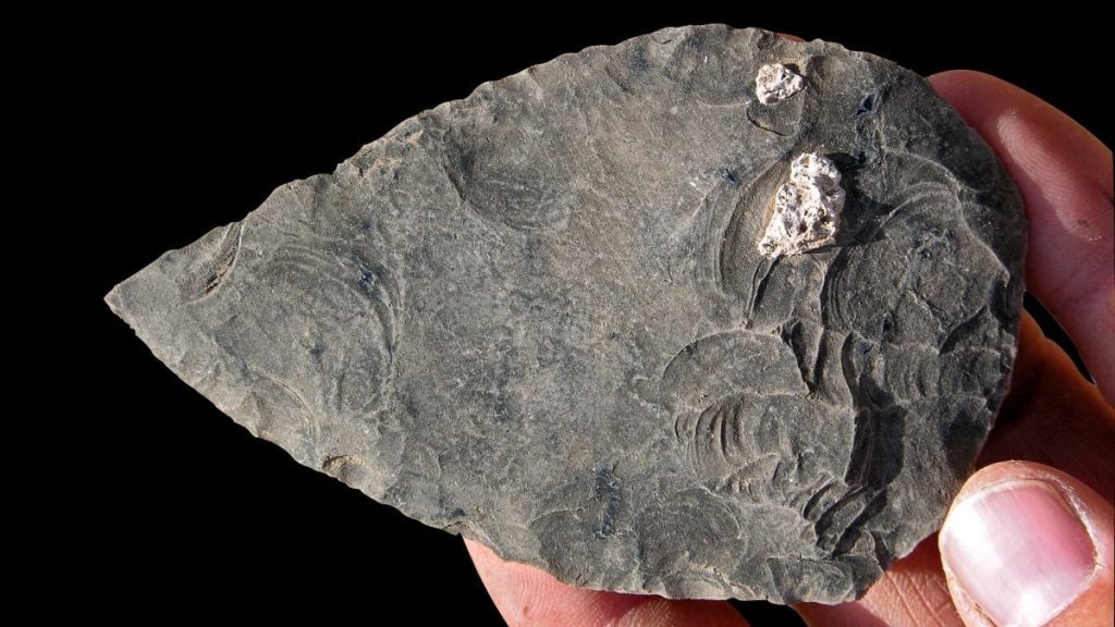 Old Terrain Uncovers Remains of People from 100,000 Years Ago