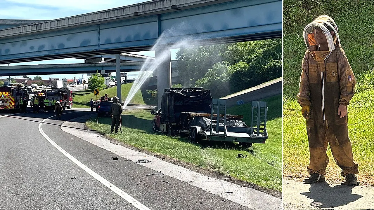 One million bees gather on Knoxville's I-40 following a truck accident