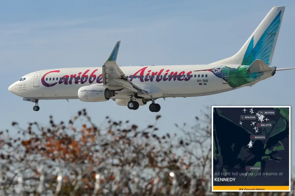 Passenger on Caribbean Airlines flight to New York delivers baby mid-air, while airport officials propose clever name for the child