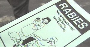 Person bitten by rabid cat in Orange County