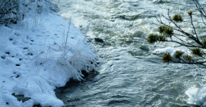 Photos: 5-Year-Old Boy Who Rescued His Little Brother Battles for Survival