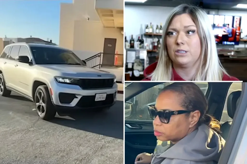 Police chief's strange reason for abandoning hit-and-run incident