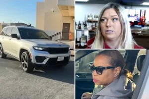 Police chief's strange reason for abandoning hit-and-run incident