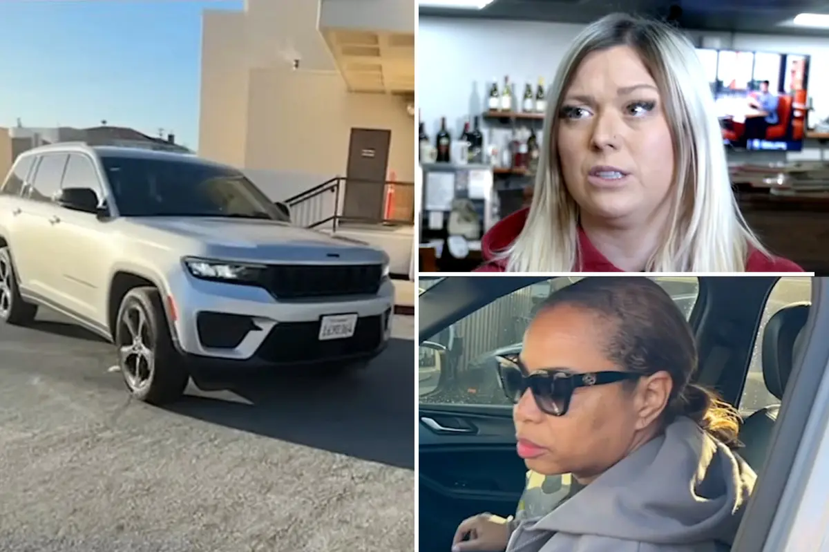 Police chief's strange reason for abandoning hit-and-run incident