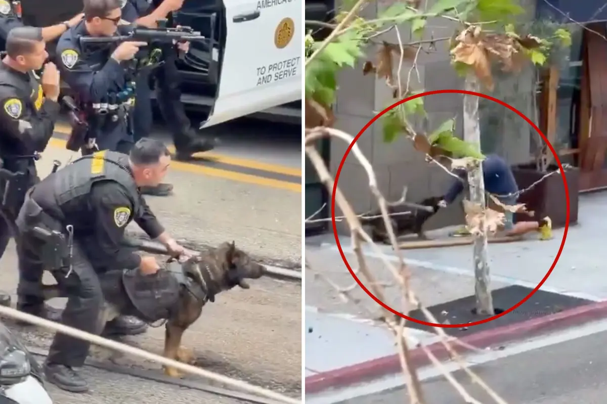 Police dog takes down man who attacked innocent victim with a modified cane