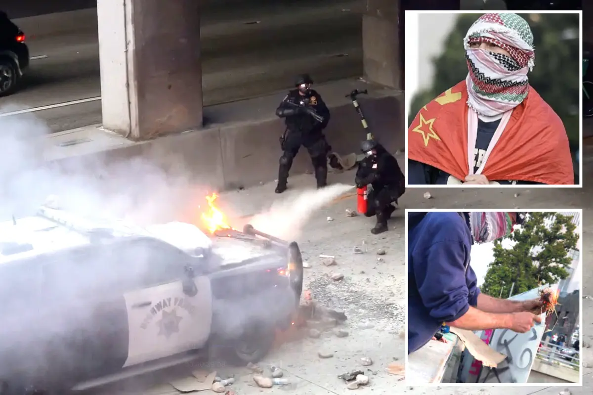 Protesters against ICE admit to assaulting police with rocks and fireworks in LA