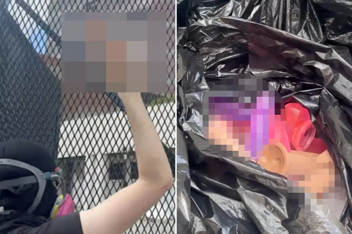 Protesters against ICE stage explicit demonstration in downtown LA