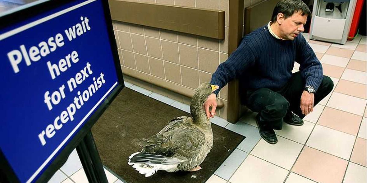 Questionable Treatments: Federal insurance code exists for 'hit by a duck,' yet none for gender detransition