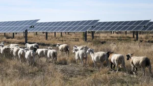 Red states drive clean energy expansion through successful free market policies
