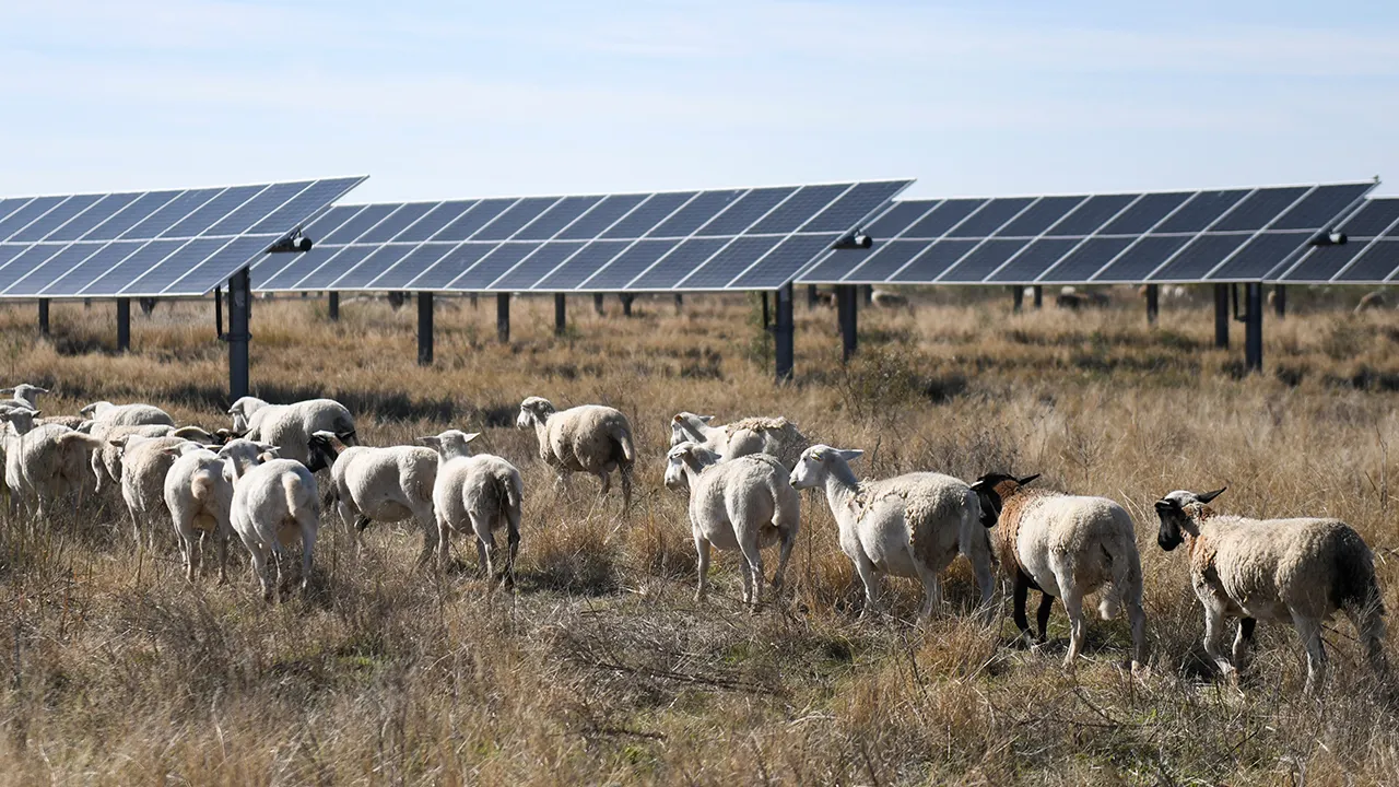 Red states drive clean energy expansion through successful free market policies