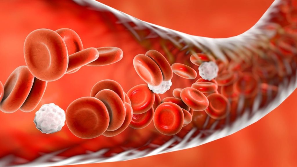 Researchers May Have Discovered a New Cause of High Blood Pressure and a Possible Treatment