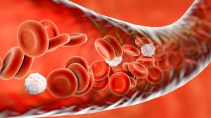 Researchers May Have Discovered a New Cause of High Blood Pressure and a Possible Treatment