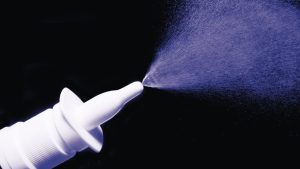 Researchers Revive Memory in Older Mice with an Easy Nasal Spray