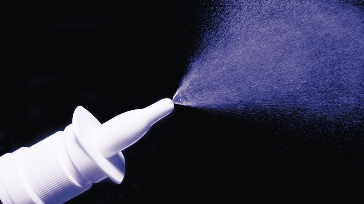 Researchers Revive Memory in Older Mice with an Easy Nasal Spray