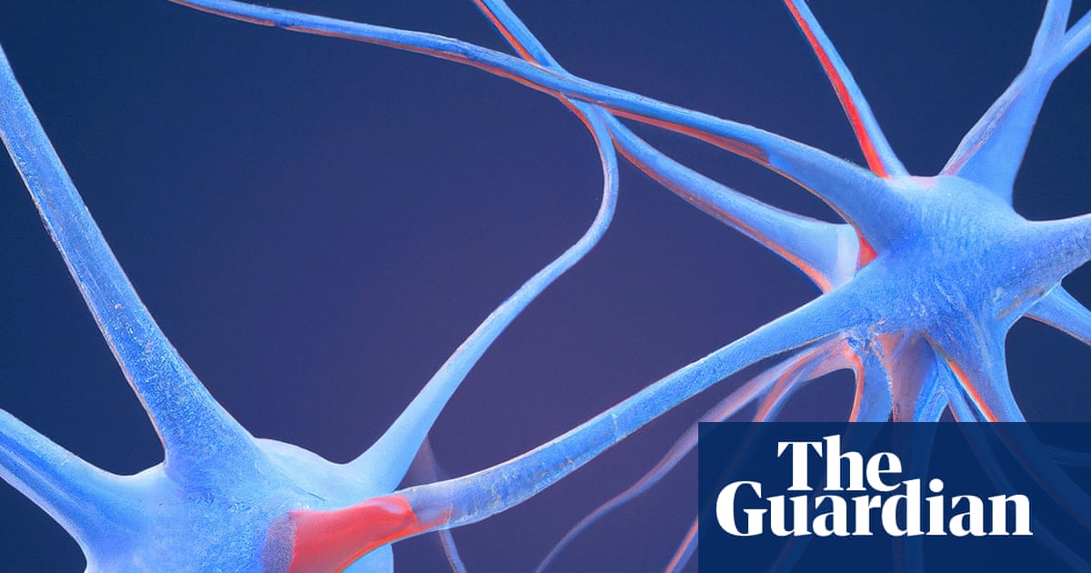 Researchers discover the brain's 'neural fingerprint' for psychedelic substances.