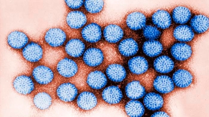 Rotavirus infections are increasing. Here’s what you should understand about this highly contagious illness.
