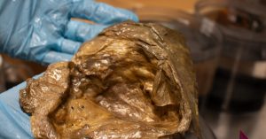 See: 'Golden Orb' Discovered in 2023 Deep Sea Exploration has been Identified